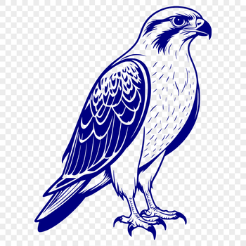 A detailed illustration of a falcon in flight, designed for commercial and personal use.