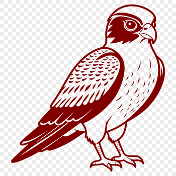 A bird of prey in mid-flight, illustrated as a vector graphic.