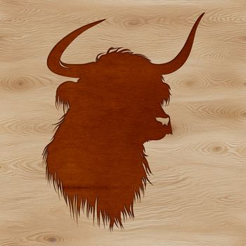A single Scottish Highland cow with distinctive horns standing in a field on a farm.