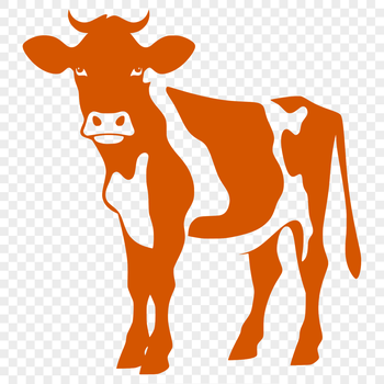 A full-body illustration of a cow, suitable as vector art for various designs.