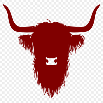 A detailed illustration of a Highland Cow's head, suitable for cutting out with a machine or stencil.