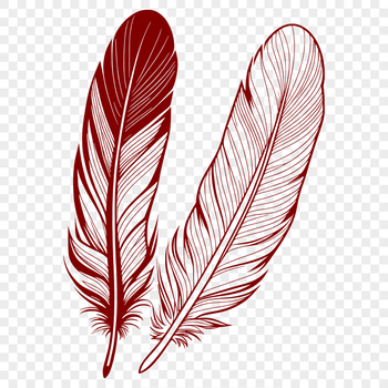A high-quality vector illustration of a feather, suitable for commercial or personal projects requiring precision graphics.