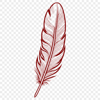 A single white bird's feather with subtle texture and details, suitable as clip art or vector design element.