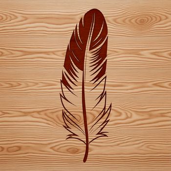 An editable, scalable design element featuring the shape of a single bird's feather.