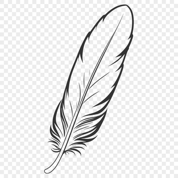 A stylized digital illustration of a feather in vector format.