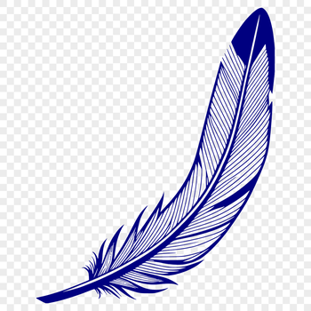 A vector illustration of a single feather with detailed texture and shape.