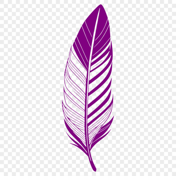 A stylized feather illustration in vector format.