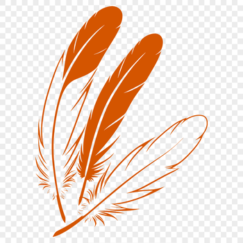 A high-quality vector illustration of a single bird's feather with detailed texture.