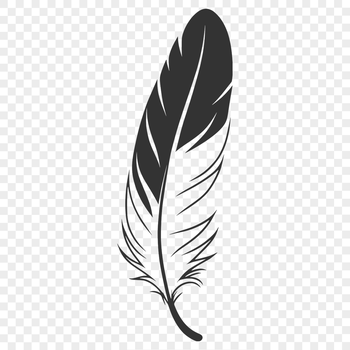 A single feather designed as a vector graphic illustration suitable for various designs.