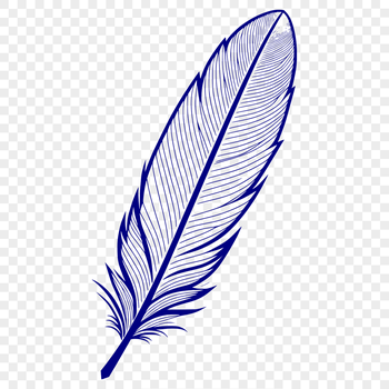 High-resolution vector graphic of a single feather with detailed design features.