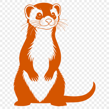 A small, domesticated mammal with a slender body and long neck, typically kept as a pet.