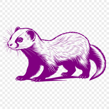 A vector illustration of a domestic ferret, suitable for digital and physical crafting.