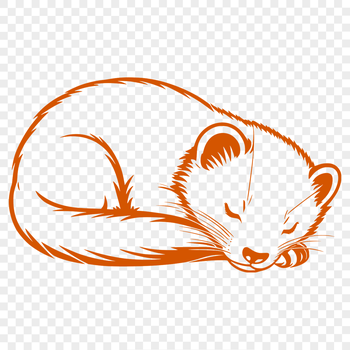 A sleeping ferret with smooth fur and curious expression.