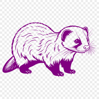 A detailed illustration of a domesticated ferret in a neutral pose.