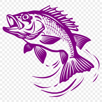 An SVG design featuring a detailed drawing of a crappie from head to tail.