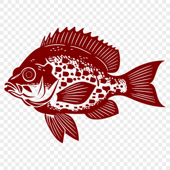 Illustrative full-body rendering of a Crappie fish in vector format.