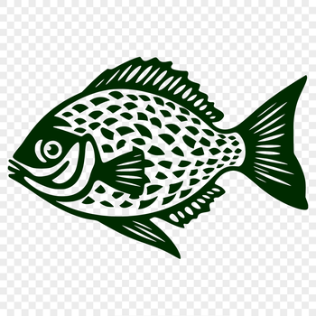 A high-quality illustration of a Crappie fish in full body view, suitable for various design projects.
