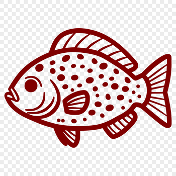 A detailed illustration of a Crappie fish in full body view, suitable for vector design and clip art.