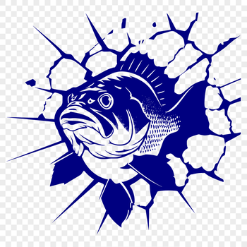 A high-quality illustration of a full-body fish with distinctive features of the Crappie species.