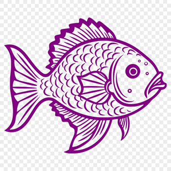 A detailed illustration of a crappie fish in full body view.