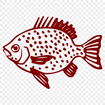 Illustrative representation of a crappie fish in vector format.