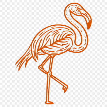 A detailed illustration of a flamingo in full body pose, suitable for vector graphics design.