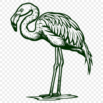 A full-body illustration of a flamingo standing upright on one leg.