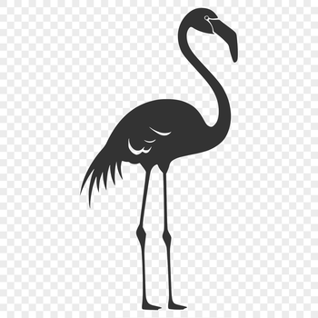 A detailed illustration of a standing flamingo bird in full body pose.