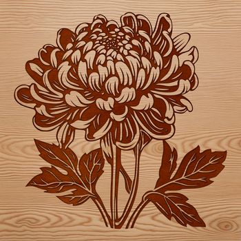 A realistic representation of a Chrysanthemum plant, ideal for gardening and floral-themed artwork.
