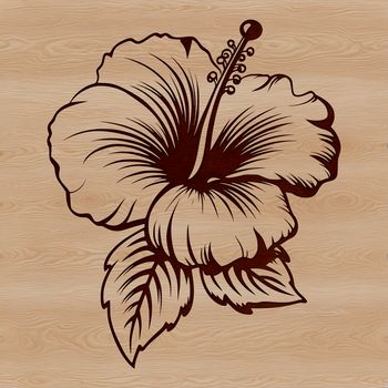 An isolated vector representation of a Hibiscus plant, ideal for graphic design projects.