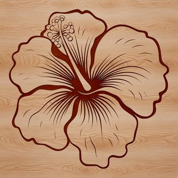 Close-up illustration of a tropical hibiscus plant with prominent stamens and leaves.