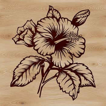 A vector illustration of a large, tropical hibiscus flower with five petals.