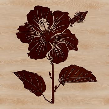 A detailed vector illustration of a Hibiscus flower with intricate petals and stem.