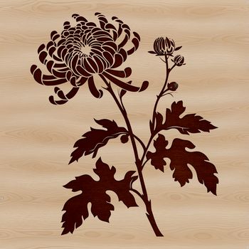 A detailed illustration of a blooming chrysanthemum plant with intricate petals, suitable for vector art designs.