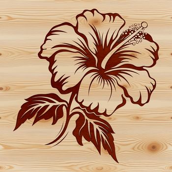 A colorful illustration of a hibiscus flower, a popular choice for gardening and floral designs.