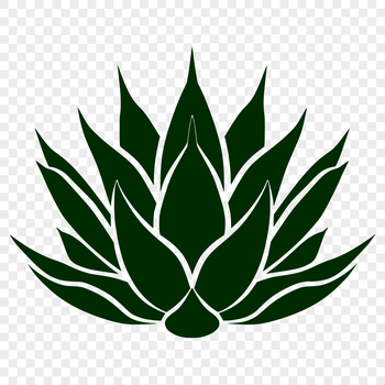 A stylized illustration of a succulent plant with thick, fleshy leaves and stems, suitable for vector graphics.