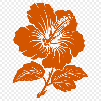 A detailed floral illustration of a hibiscus flower with five petals, suitable for vector art designs.