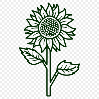 A simple line drawing of a sunflower, a common garden flower known for its large blooms.