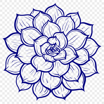 A stylized illustration of a desert plant with fleshy leaves.