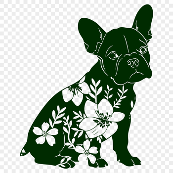 Boston Terrier illustration in vector format, depicting a dog sitting on its haunches.