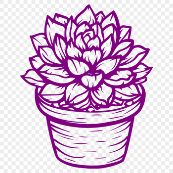 A detailed illustration of a cactus-style succulent plant with thick stems and fleshy leaves.