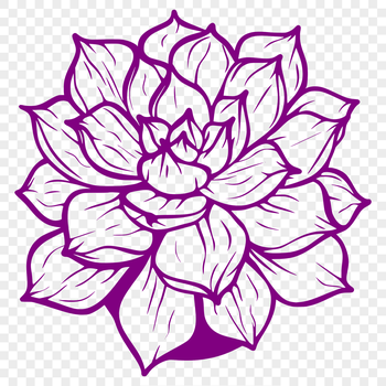 A vector graphic representation of a desert-dwelling succulent plant in a minimalist design.