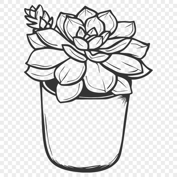 Beautiful Plant In PDF And PNG