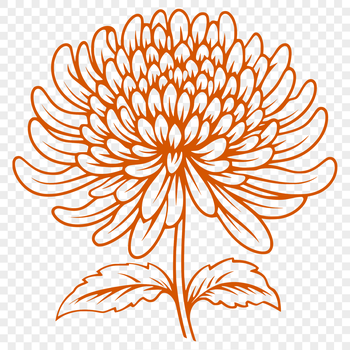 A realistic illustration of a single chrysanthemum flower with detailed petals.