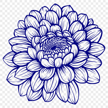 A stylized illustration of a single chrysanthemum flower with intricate details.
