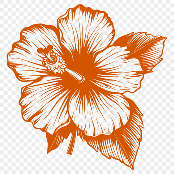 A vibrant illustration of a hibiscus flower with large petals and prominent stamens.