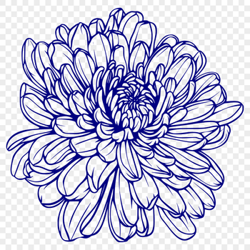 Floral Laser Cutter Digital Drawing