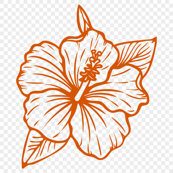 A vibrant, tropical hibiscus flower with large, showy blooms.