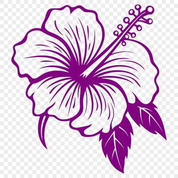 A large, showy hibiscus flower with five petals, ideal for floral designs in vector art.