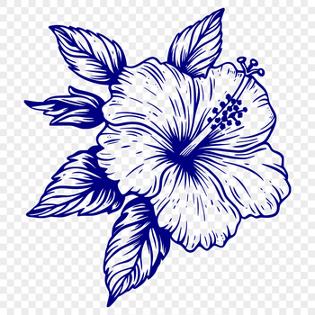 A stylized illustration of a single Hibiscus flower with large, showy blooms.